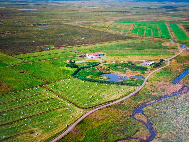 Wisata naik kuda di Islandia