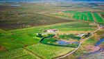 Foto: Wisata Naik Kuda di Islandia yang Eksotis