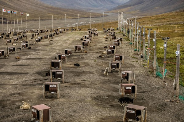 Di lain sisi, hal tersebut pun bisa berubah menjadi penyebar penyakit. Tahun 1920-an, penduduk Longyearbyen menderita flu akibat virus dari jenazah yang dikuburkan. Maka pemerintah setempat dengan tegas menyatakan tidak boleh ada jenazah yang dikuburkan yang sama saja artinya tidak boleh ada kuburan. Getty Images/Maja Hitij Di lain sisi, hal tersebut pun bisa berubah menjadi penyebar penyakit. Tahun 1920-an, penduduk Longyearbyen menderita flu akibat virus dari jenazah yang dikuburkan. Maka pemerintah setempat dengan tegas menyatakan tidak boleh ada jenazah yang dikuburkan yang sama saja artinya tidak boleh ada kuburan. Getty Images/Maja Hitij