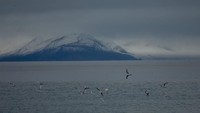Kepulauan Svalbard pertama kali dijajaki manusia pada abad ke-12, ketika zaman Viking. Bangsa Viking memberi nama Svalbard yang memiliki arti tepi yang dingin. Dan kota utamanya yaitu Longyearbyen merupakan yang paling banyak penduduknya. Getty Images/Maja Hitij  