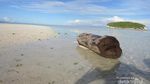 Ini Keunikan Lain dari Raja Ampat