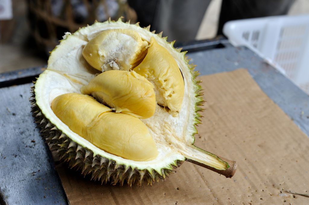 Satu kampung keracunan usai makan durian yang tercemar air laut
