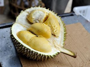 Alasan Durian Halal Dimakan dan Anak Jalanan Dipaksa Makan Cabai