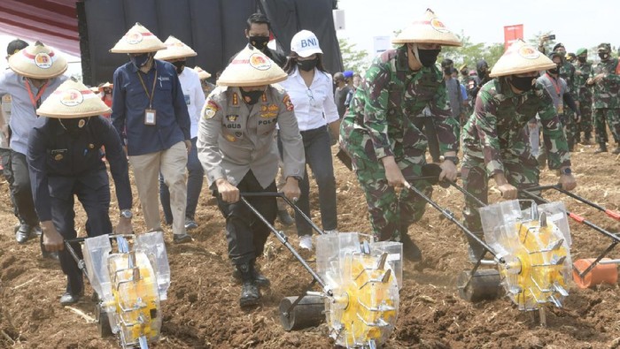 Sinergitas TNI-Polri untuk Ketahanan Pangan Alumni Akabri tahun 1989 atau biasa disebut Altar 89 bersama Polri ikut membantu pemerintah menjaga ketahanan pengan dan pemulihan ekonomi nasional bagi rakyat Indonesia. Salah satu bukti nyatanya adalah sinergi TNI dan Polri yang kompak menanam jagung untuk program ketahanan pangan.
