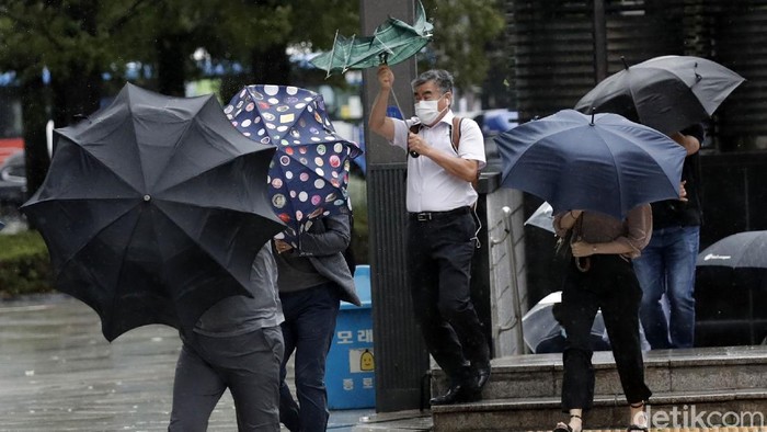 Topan Maysak menerjang wilayah semenanjung Korea, Kamis (3/9) pagi waktu setempat. Selain menewaskan satu orang, topan ini juga pepohonan.