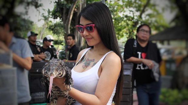 Turis wanita yang pegang testis harimau.