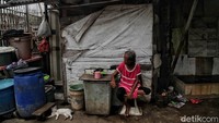 Pelaksanaan pemberian kompensasi dilakukan oleh Bank DKI dan disaksikan pihak PT Jakarta Propertindo(Perseroda) (Jakpro) selaku owner proyek JIS. Kegiatan mendapat dukungan penuh dari pihak kewilayahan Kota Administrasi Jakarta Utara, Kecamatan Tanjung Priok, dan Kelurahan Papanggo.