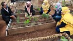 Yuk! Belajar Berkebun di Teras Hijau Project Bandung