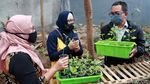 Yuk! Belajar Berkebun di Teras Hijau Project Bandung