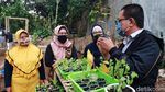 Yuk! Belajar Berkebun di Teras Hijau Project Bandung