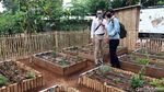 Yuk! Belajar Berkebun di Teras Hijau Project Bandung