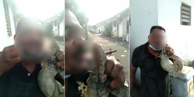 Aksi Makan Hewan Hidup dan Utuh