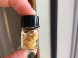 Kumpulan Barang Antik yang Bikin Gagal Paham