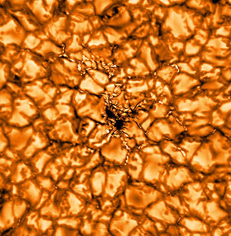 foto matahari detail foto matahari detail