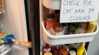 Kalau kucing ini memang hobi menyelinapkan tangannya di pintu kulkas. Sampai-sampai pemiliknya sudah memasang peringatan tuh! Foto: Bored Panda