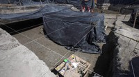Dilansir dari AP, jumlah kerangka hewan purba mammoth yang ditemukan di area proyek pembangunan bandara baru Meksiko itu telah mencapai sedikitnya 200 kerangka.