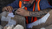 Rubén Manzanilla López, seorang arkeolog dari National Institute of Anthropology and History mengatakan bukti mulai muncul yang menunjukkan kemungkinan bahwa mammoth di bandara itu mati secara alami setelah terjebak lumpur di dasar danau kuno.