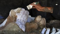 Sementara tes masih dilakukan pada tulang mammoth untuk mencoba menemukan kemungkinan bekas pemotongan, para arkeolog telah menemukan lusinan alat tulang mammoth - biasanya berupa batang atau tangkai yang digunakan untuk menahan perkakas atau alat pemotong - seperti yang ditemukan di Tultepec, Meksiko.