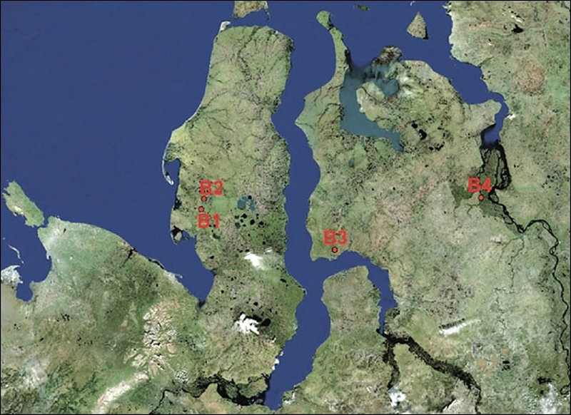 Lubang raksasa Siberia