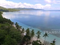 25 Kg Kokain Diduga Selundupan dari Kolombia Ditemukan di Pantai Selayar