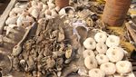 Foto: Pasar Sihir Terbesar Dunia