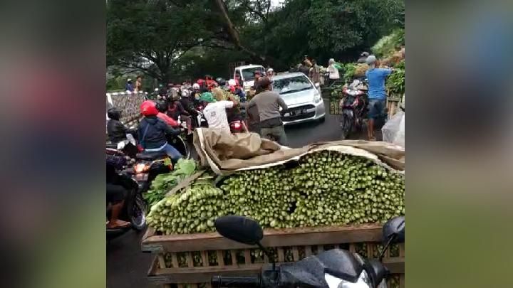 Sayuran dan Ayam Tak Laku, Petani Bagikan Gratis pada Warga