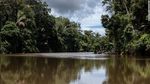 Kala Suku Amazon Awasi Hutan Pakai Drone