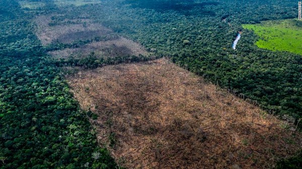 Awapy memimpin tim yang terdiri dari 12 orang berpatroli ke hutan hujan untuk memantau deforestasi dan kebakaran hutan. Pertama kali menggunakan drone, mereka menemukan lahan seluas 1,4 hektar yang telah ditebangi pepohonan.