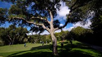 Kini di tahun 2020, Andalucía Masters diselenggarakan dari tanggal 3 hingga 6 September yang merupakan bagian dari Race to Dubai 2020. Getty Images/Octavio Passos  
