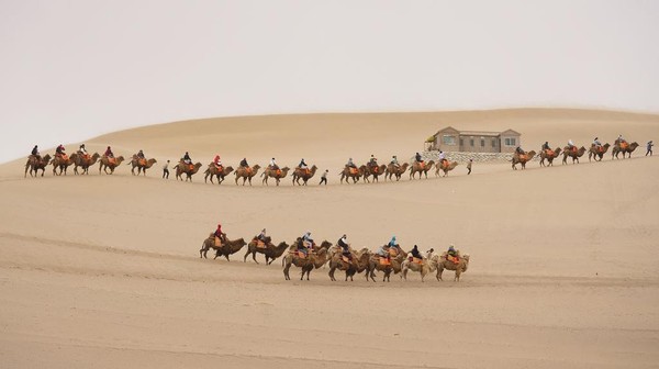 Di China Ada Wisata Naik Unta Dan Oasis Di Padang Pasir Lho