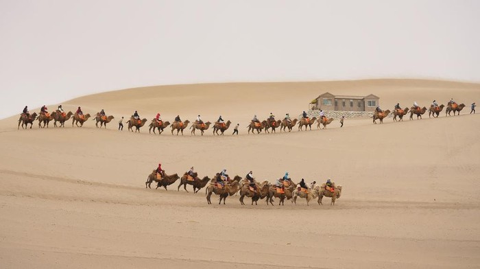 DUNHUANG , CHINA - APRIL 23:  Tourists rides on camels, walking on the desert on April 23, 2019 in Dunhuang, China. The Mingsha Shan desert (Mount Mingsha) is a part of the ancient silk road. Serving as an important platform for cultural exchange and economic cooperation among countries along the Belt and Road, Dunhuang City, which was a major stop on the ancient Silk Road. The 2nd 