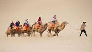 Di China Ada Wisata Naik Unta dan Oasis di Padang Pasir Lho