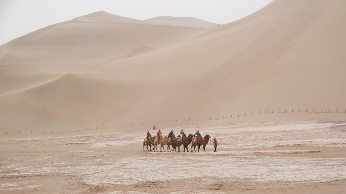 DUNHUANG , CHINA - APRIL 23:  Tourists rides on camels, walking on the desert on April 23, 2019 in Dunhuang, China. The Mingsha Shan desert (Mount Mingsha) is a part of the ancient silk road. Serving as an important platform for cultural exchange and economic cooperation among countries along the Belt and Road, Dunhuang City, which was a major stop on the ancient Silk Road. The 2nd Belt and Road International Cooperation Summit will be held in Beijing from April 25th to 27th, 2019.  (Photo by Lintao Zhang/Getty Images)