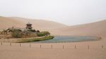 Di China Ada Wisata Naik Unta dan Oasis di Padang Pasir Lho