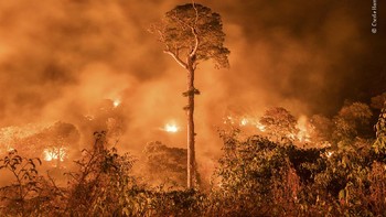 “Amazon burning” © Charlie Hamilton James Foto: Wildlife Photographer of the Year 