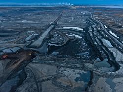 Karya Terpuji Wildlife Photographer of the Year 2020 Pukau Mata