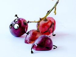 Kreatif! Doodle Buah-buahan yang Dramatis dan Lucu