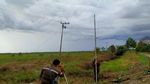 Mengintip Persiapan Megaproyek Lumbung Pangan di Kalteng