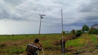 Sementara untuk food estate tanaman singkong, Menteri Basuki menuturkan, pada tahun 2020 dari total rencana area pengembangan 60.000 ha, akan mulai dikerjakan seluas 30.000 hektar pada 2020-2021 di Kabupaten Gunung Mas, Kabupaten Pulang Pisang, dan Kabupaten Kapuas. Sisanya seluas 30.000 ha sebagian besar berada di Kabupaten Murung Raya dan akan mulai dilaksanakan tahun 2021.Foto: Dok. Kementerian PUPR