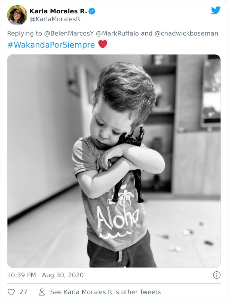 boredpanda blackpanther anak