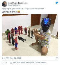 boredpanda blackpanther anak