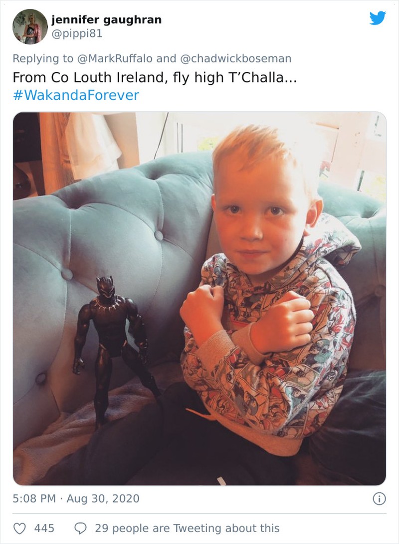 boredpanda blackpanther anak