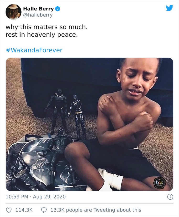 boredpanda blackpanther anak