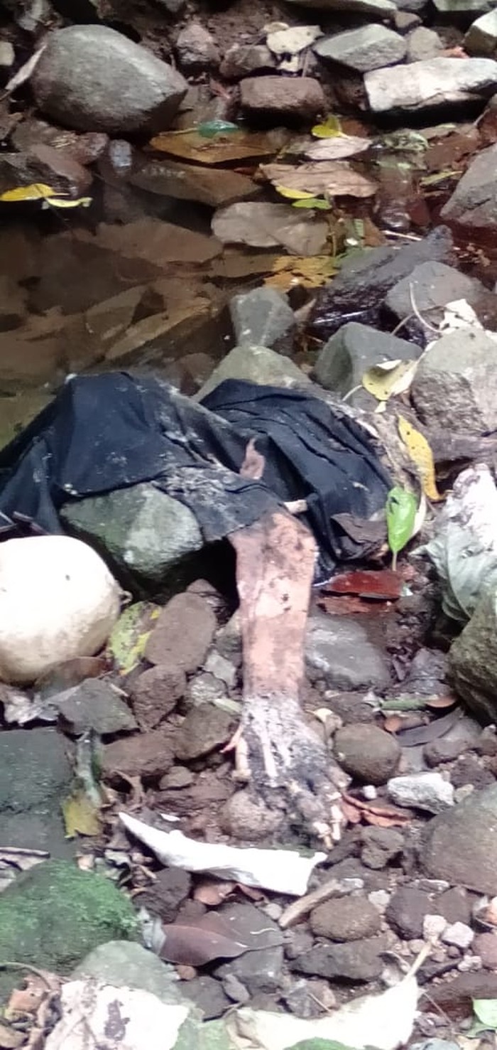 Geger penemuan tengkorak manusia di tengah hutan lindung Purwakarta