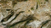 Dari strukturnya, situs Goa Bhuto terdiri dari 4 relief. Yakni relief kala (butho), relief kuncup bunga teratai, relief Buddha bermeditasi, kepala manusia bertanduk dikelilingi api, serta relief orang sedang meditasi.