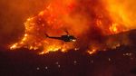 Melihat Aksi Petugas Pemadam di Kebakaran Hutan California