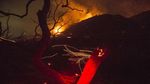 Melihat Aksi Petugas Pemadam di Kebakaran Hutan California