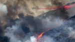 Melihat Aksi Petugas Pemadam di Kebakaran Hutan California