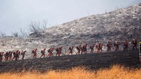 Puluhan petugas memadam kebakaran berjalan di hutan yang hangus terbakar di Yucaipa, California, Sabtu, 5 September 2020 waktu setempat. AP Photo/Ringo H.W. Chiu.