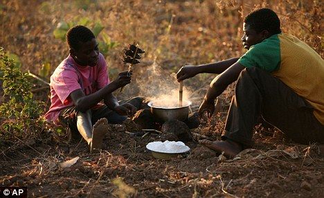 Orang di Afrika Makan Sate Tikus Untuk Atasi Kelaparan